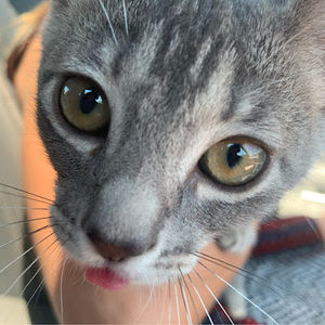 Meet your Posher, J3llyb3an_lov3r